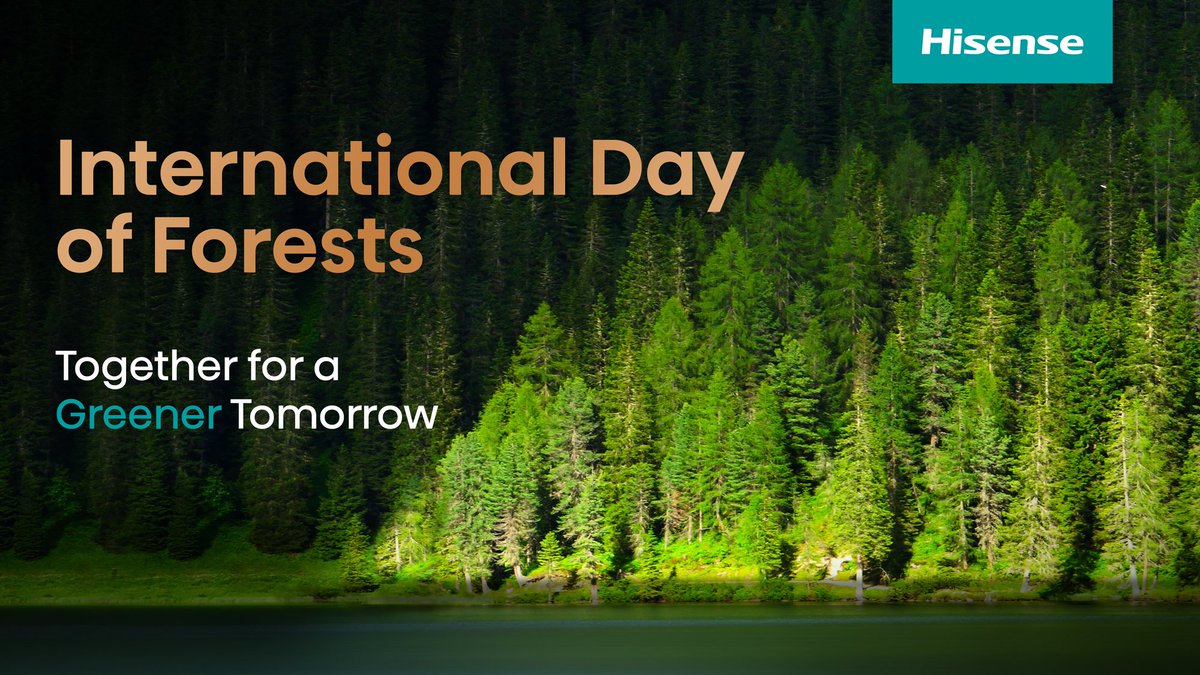 🙌Today is the International Day of Forests! 🌲This year‘s focus is on ’Forest and Innovation‘, highlighting the vital blend of tech and creativity in safeguarding our forests, as we pursue new solutions for a better world. 🩵Hisense is devoted to fulfilling its ongoing ESG