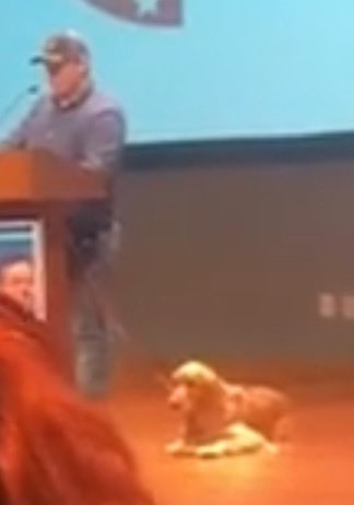 Save Kyle Rittenhouses poor dog, maybe he needed an emotional support animal?