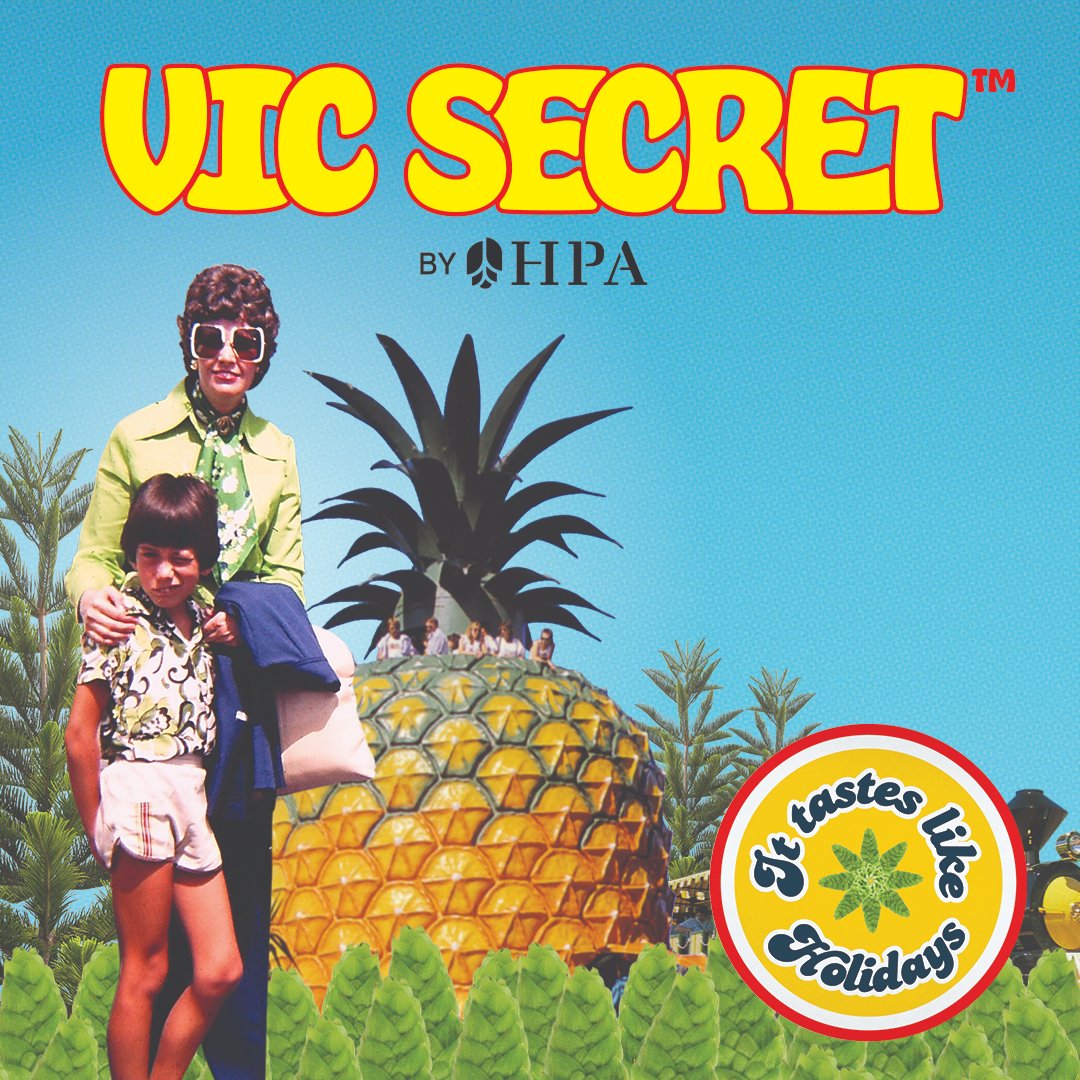 HopProductsAus's tweet image. Vic Secret™ is the last Aussie hop to be harvested. Created by HPA's breeding program in 2000 through a cross-pollination of high alpha Australian and Wye College hops, Vic Secret™ was commercialised in 2013. It's a herbaceous cocktail of big pineapple and big pine! #aussiehops