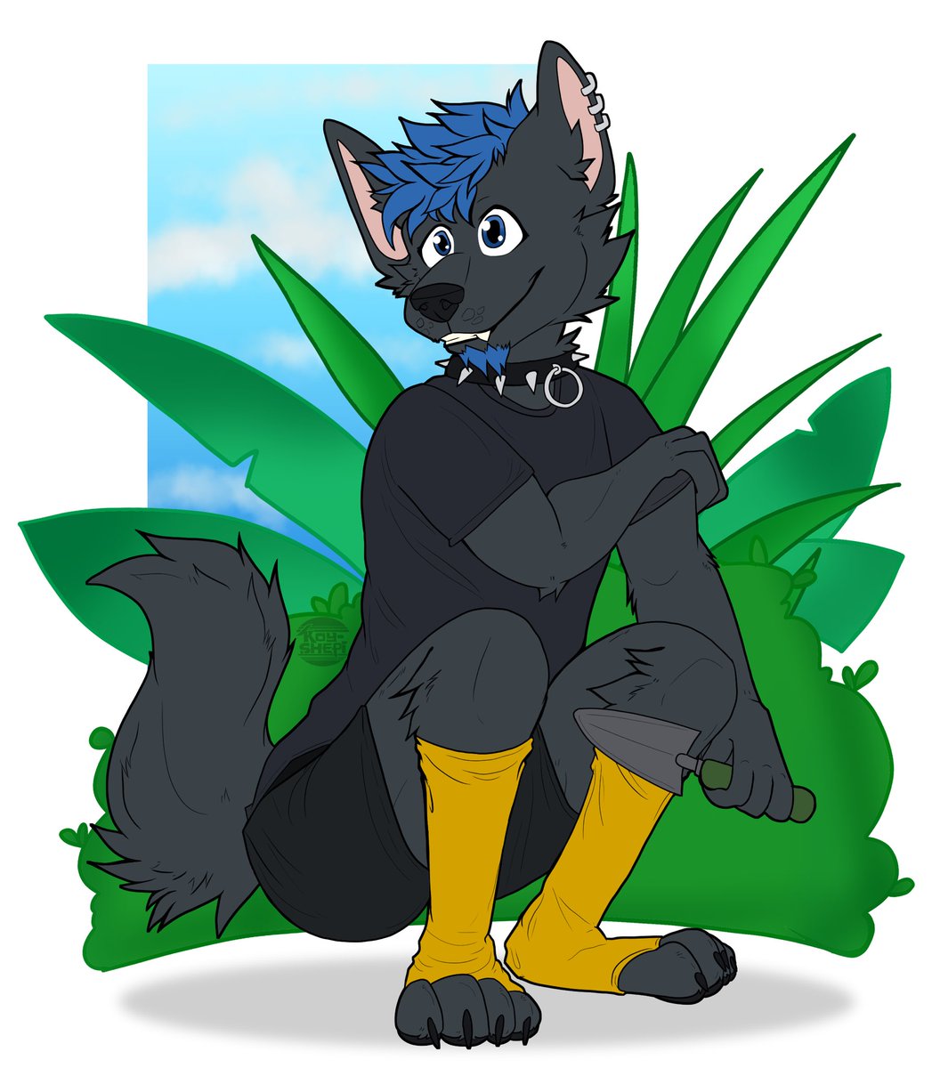 Litho Bo Bitho tweet media