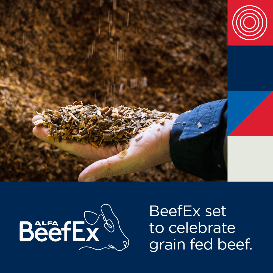 Beef Ex tickets on sale! It’s an October celebration of Australia's grain-fed beef industry! Don't miss out - register now for a great social and educational event!  beefex.com.au/register #BeefEx #GrainFedBeef #Feedlots