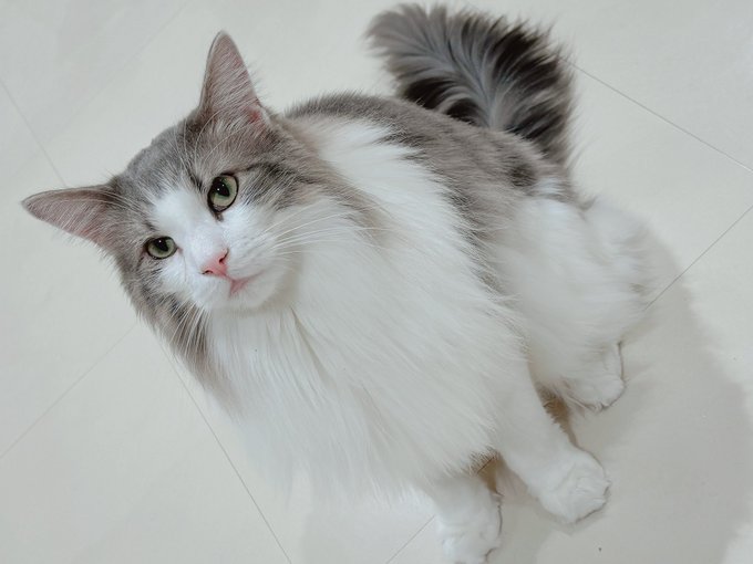 Watch 𓆟uri 𓆟's leaked NSFW photo on TwXstars