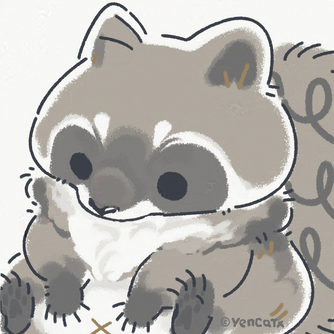 🦝