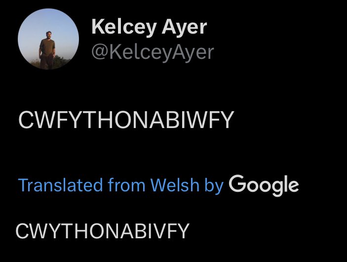 Local Natives Fans tweet media