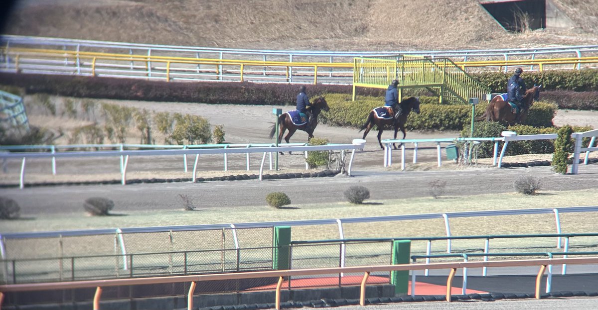 kizukuhironaka's tweet image. 手塚厩舎の36番はカネラフィーナ(牝)
父フランケル母ジョイカネラ。好馬体です。良いスピード持ってそうな予感😶
#日刊競馬POG
#シルクレーシング