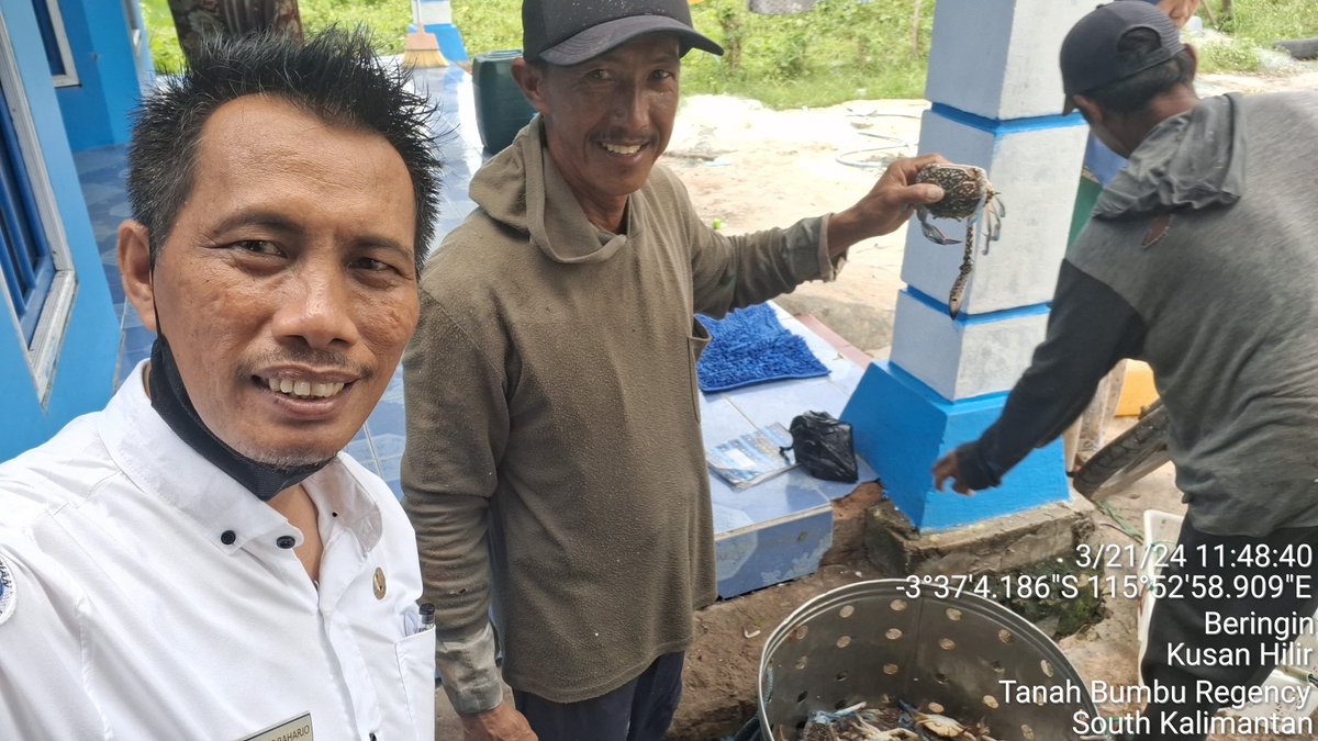 ekoprioraharjo's tweet photo. Kamis (21/03/2024)
Hasil tangkapan Kepiting Rajungan sebanyak 12,5 kg  oleh Bpk. Abd. Haser di KUB. PADAIDI BERINGIN Desa Beringin harga jual Rp 40.000/Kg  dgn  total pendapatan kotor 500.000
#GiatLuhkanSatminkalBWI 
#luhlapor 
#TanahBumbu 
@bppsdm_bp3bwi
@puslatluhkp 
@bppsdm_kp https://t.co/jlticLQ2OK