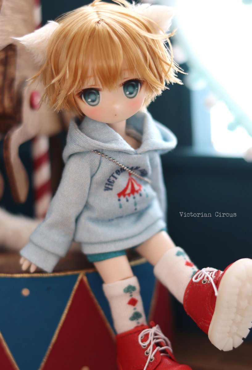 victorian_cs's tweet photo. Meuくん誕生しました🐱
https://t.co/kc3ceAI84O https://t.co/MmaQ38PUWm