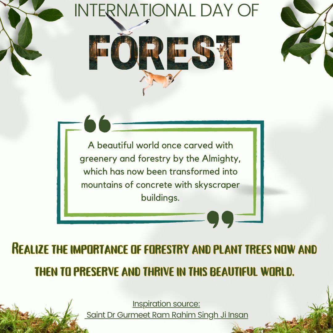 धरती के सुंदर बनाने के लिए Saint MSG Insan ने पेड़ लगा कर एक सुंदर सा तोहफा दिया है।जो की पूरी जंगल जीवन के लिए वरदान है।#WorldForestDay #InternationalDayOfForest
