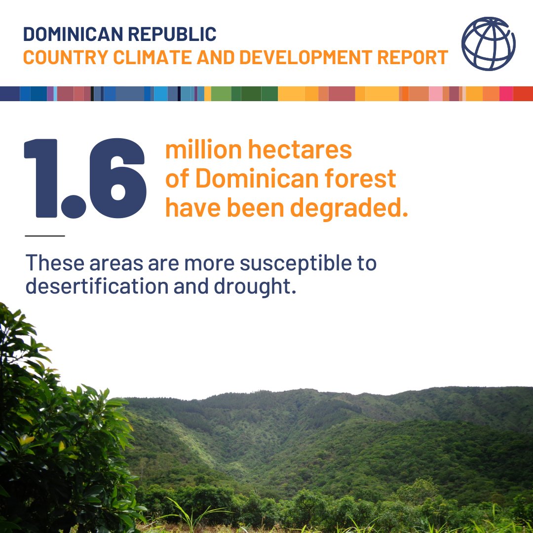 Forest degradation creates an environment that is more vulnerable to the effects of  climate change: these forests are more likely to become deserts. What is the impact of forest degradation in the #DominicanRepublic? 

New #ClimateAndDevelopment report: wrld.bg/Um2l50QQmbi