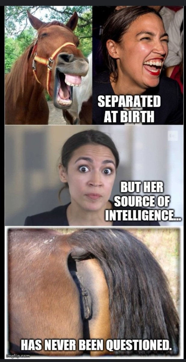 ReissChris45893's tweet image. Who thinks @AOC needs to hit the Bartender Trail NOT ANOTHER CAMPAIGN TRAIL? #WORSTEVER #AOC #AOCDIPSHIT