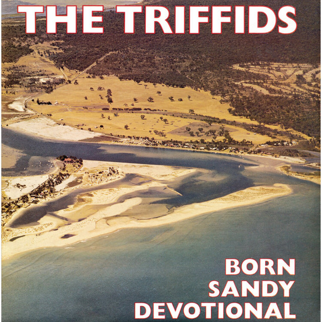 It's a shame The Triffids never got much attention in America. They were truly one of the best Aussie bands. Like The Go-Betweens, they were criminally underrated. I remember buying their Black Swan LP. Loved it. But their masterpiece remains Born Sandy Devotional. Superb album.