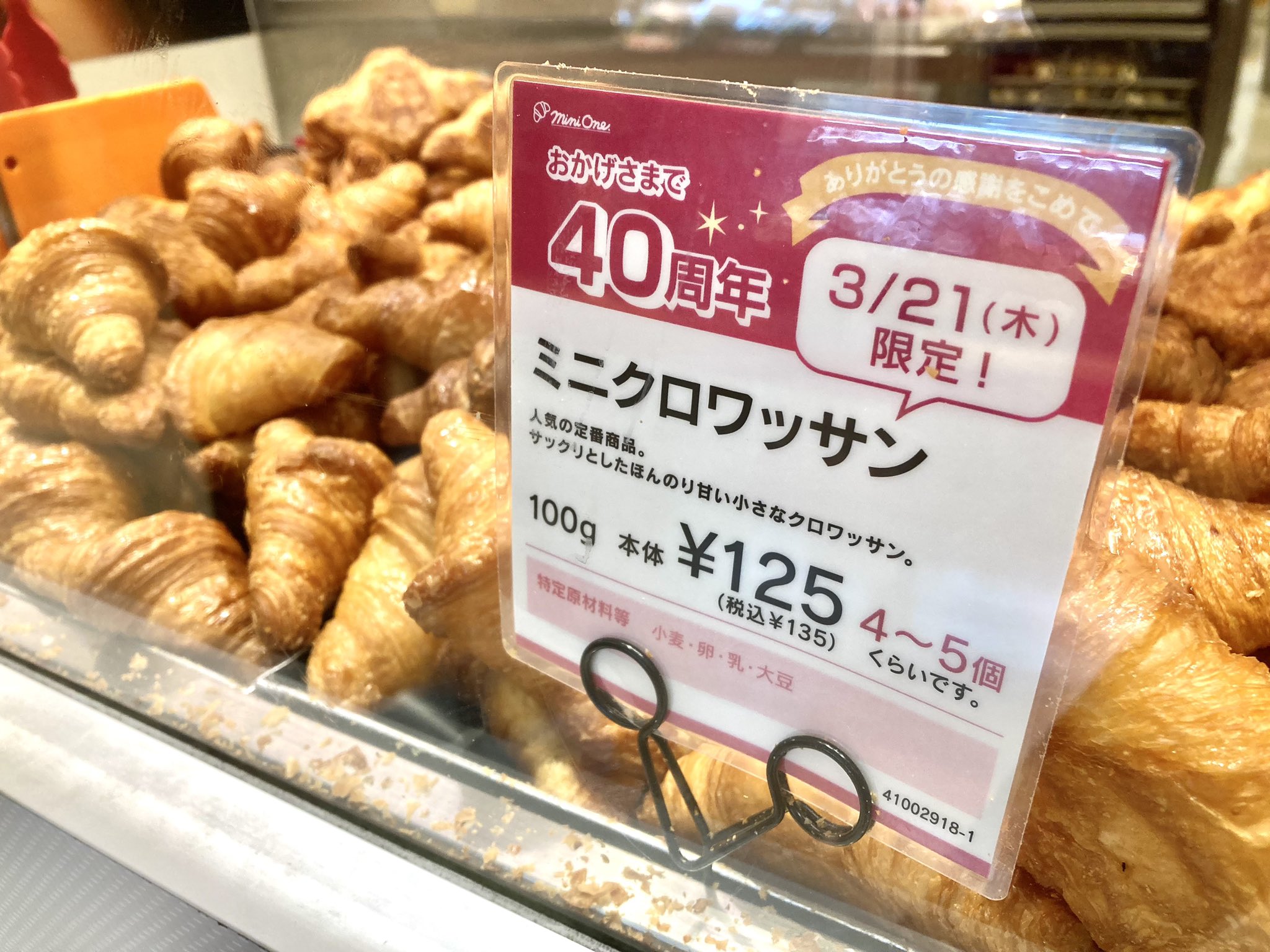 X-এ セルバ（26周年）: 