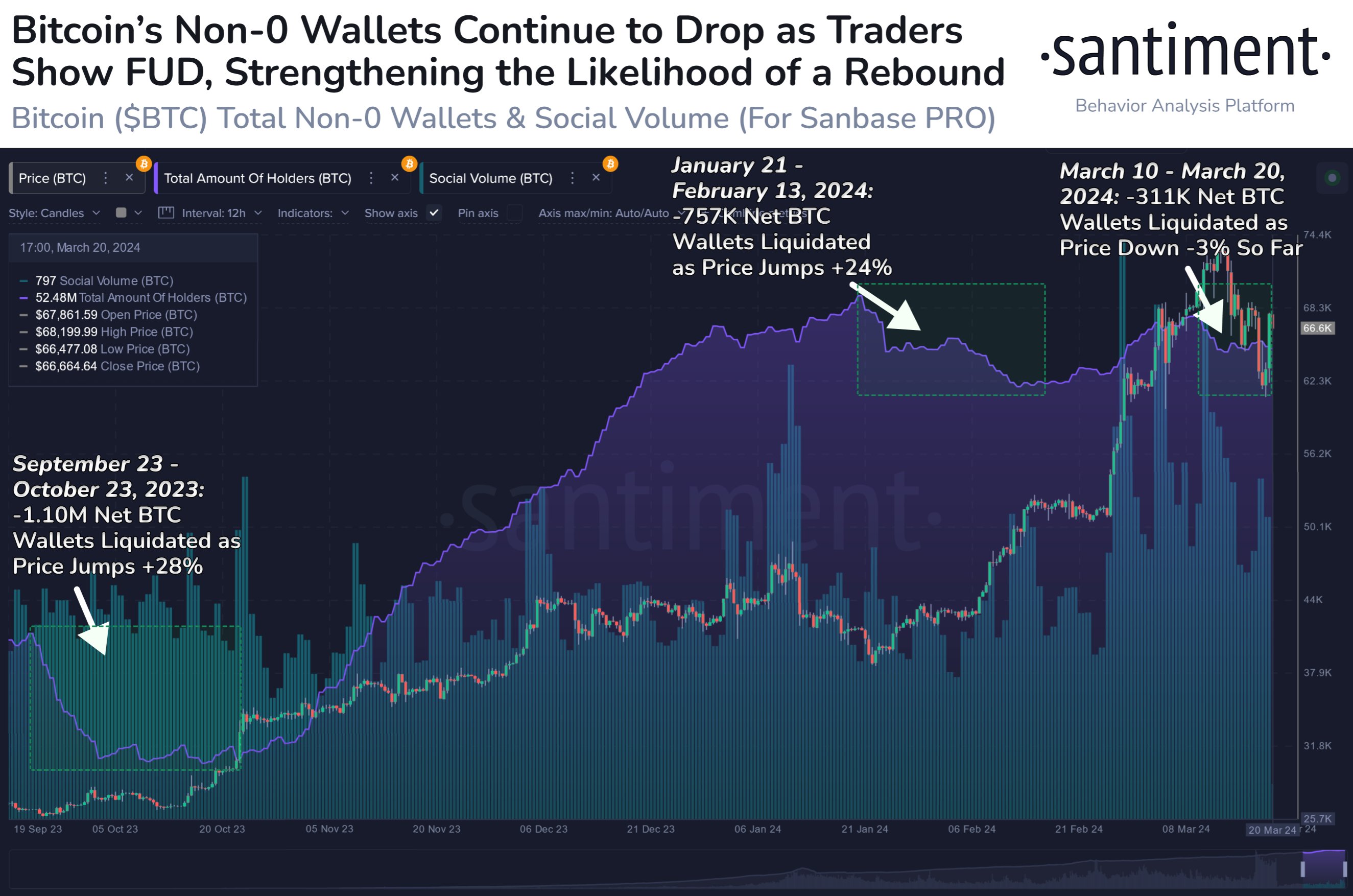  bitcoin data total on-chain holders amount seen 