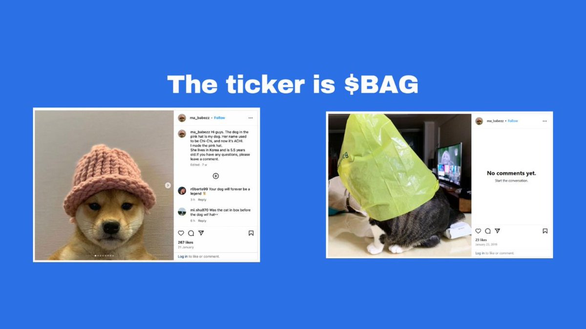 A Recap of the last week $BAG:

catwifbag is a meme originally posted by the same person who posted the original dogwifhat meme.
She is the owner of both the catwifbag cat and dogwifhat dog, $WIF's IRL sister.

- Bagged the Wall Street Bull in NYC

- catwifbag was featured in the