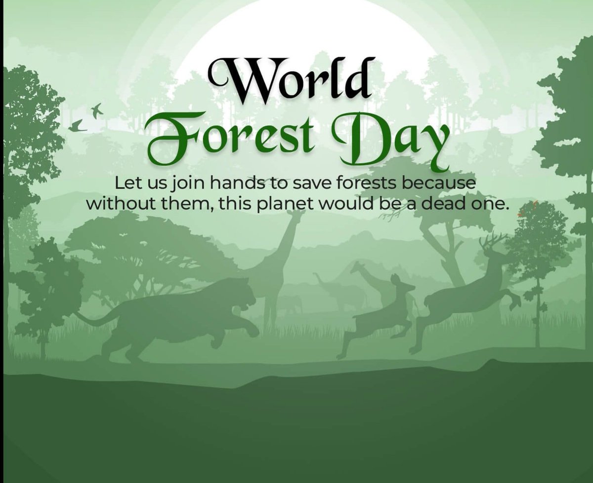 On International Forest Day 2024 let's raise awareness about importance of all type of forest. #IntlForestDay #Pro_Planet_People #ForestDay #IntlForestDay #GenerationRestoration #ForestsDay #forests
#ForestsForUs #biodiversity
#TreesPeoplePlanet
#MissionLiFE #ChooseLiFE