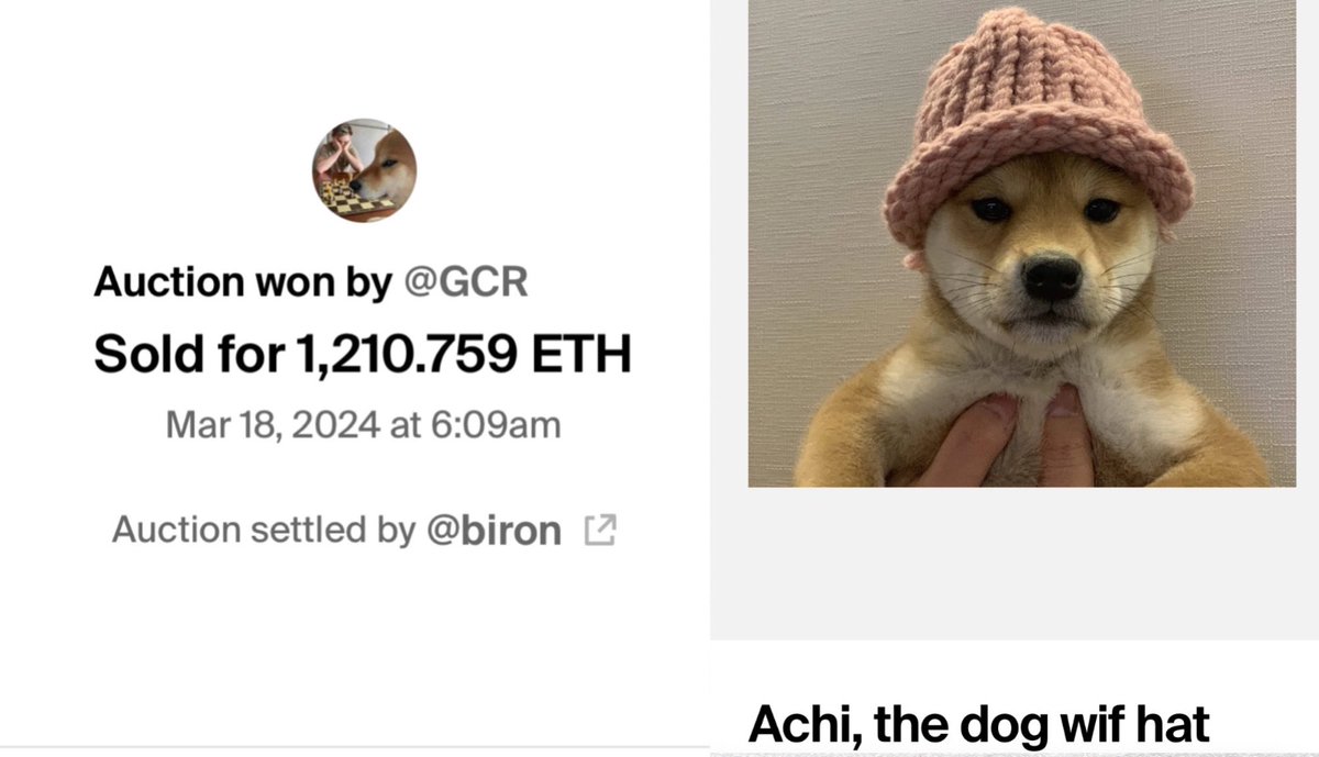 PHOTO BEHIND DOGWIFHAT SOLD FOR $4 MILLION Influential trader  GiganticRebirth, known as GCR, purchased the original picture of Achi, the  dog wearing a pink beanie hat, for $4 million worth of ETH
