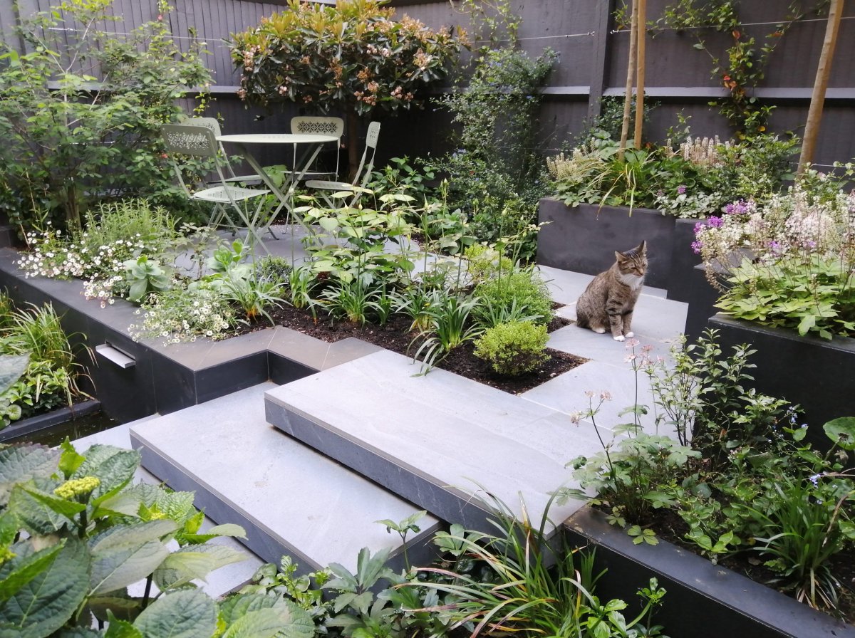 Society of Garden + Landscape Designers® (@the_sgld) on Twitter photo It's great to see so many talented designers on the SGD Accreditation Pathway to becoming fully Registered Members of the Society
Today we want to congratulate <a href="/davegreen00/">Dave Green</a> who has passed the first of 3 projects in the Accreditation Process. Visit davegreen.co.uk It's great to see so many talented designers on the SGD Accreditation Pathway to becoming fully Registered Members of the Society
Today we want to congratulate <a href="/davegreen00/">Dave Green</a> who has passed the first of 3 projects in the Accreditation Process. Visit davegreen.co.uk