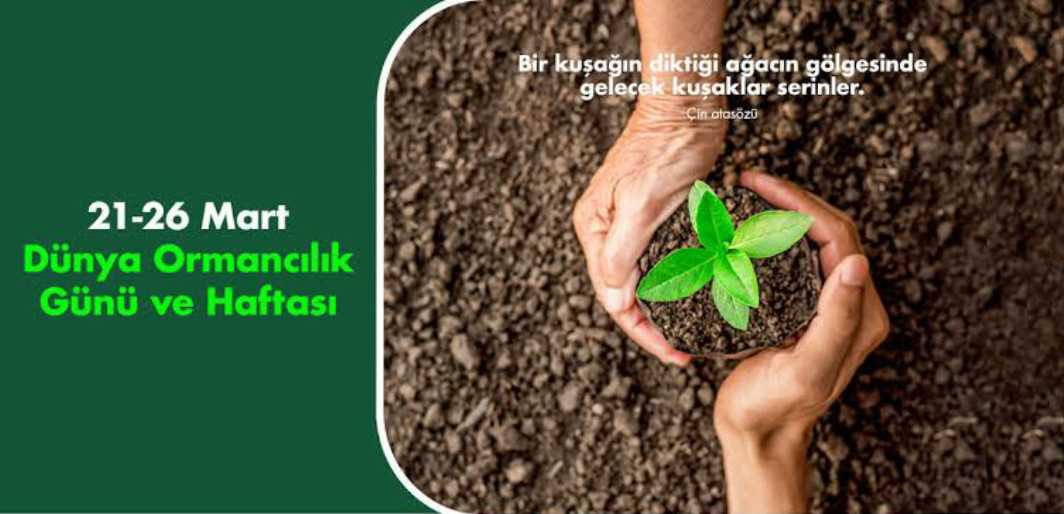 Ormanlar Bizim nefesimiz yaşam kaynağımızdır. Sahip çıkalım ve yaşatalım.Bu vesile ile Dünya Ormancılık Günü ve Haftanızı kutlarım.#ORMANGENELMÜDÜRLÜGÜ #OrmanGenelMüdürlüğü