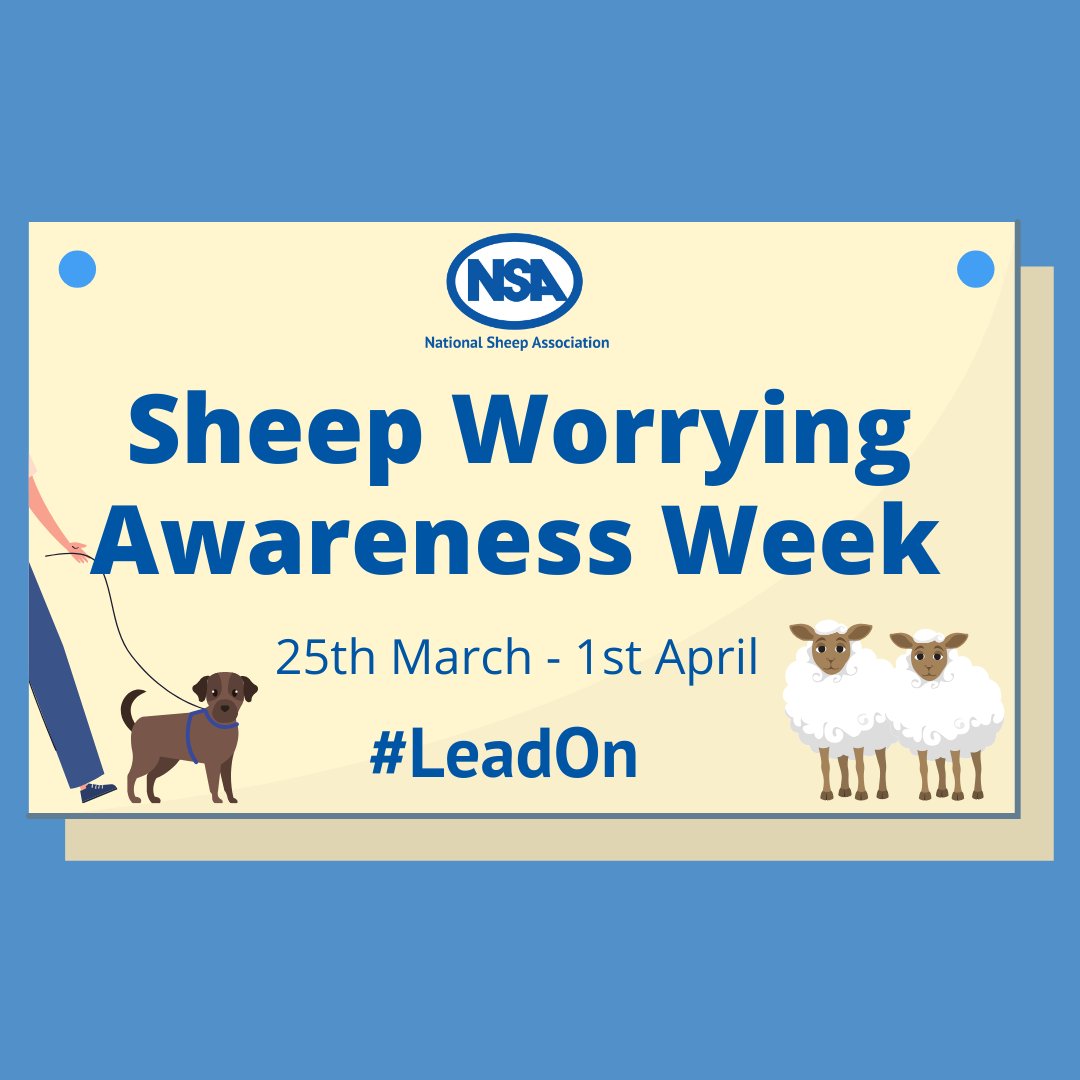 NSA is ready to #LeadOn the fight against sheep worrying by dogs!🐑🐕

Monday 25th March – Monday 1st April

Get involved and encourage responsible dog ownership by using #LeadOn and tagging NSA in your posts.

#SheepWorrying #SWBD24