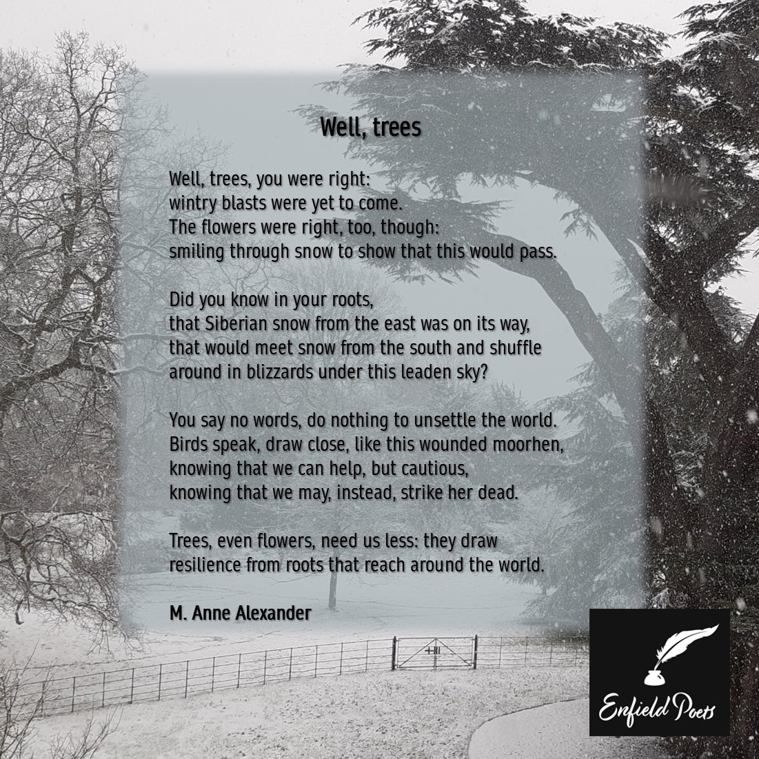 Forty Hall Estate (@forty_hall) on Twitter photo Happy #WorldPoetryDay!
<a href="/enfieldpoets/">Enfield Poets</a>
#WorldPoetryDay2024 #PoetryDay #PoetryDay2024 #Poetry #Poems #EnfieldPoets #poetrycommunity #writerscommunity #FortyHall #Enfield #NorthLondon Happy #WorldPoetryDay!
<a href="/enfieldpoets/">Enfield Poets</a>
#WorldPoetryDay2024 #PoetryDay #PoetryDay2024 #Poetry #Poems #EnfieldPoets #poetrycommunity #writerscommunity #FortyHall #Enfield #NorthLondon