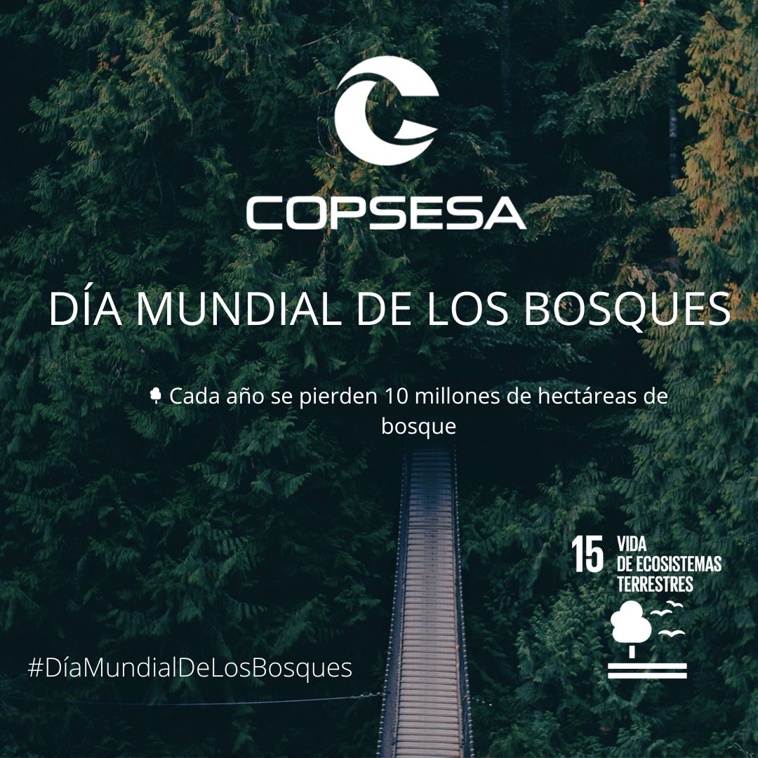 🌳 En COPSESA nos sumamos otro año más a la celebración del Día Internacional de los Bosques, fecha aprobada por la Asamblea General de las Naciones Unidas en 2012, este año bajo el lema "Bosques e innovación: nuevas soluciones para un mundo mejor".
#ESG #DíaDeLosBosques #ODS15