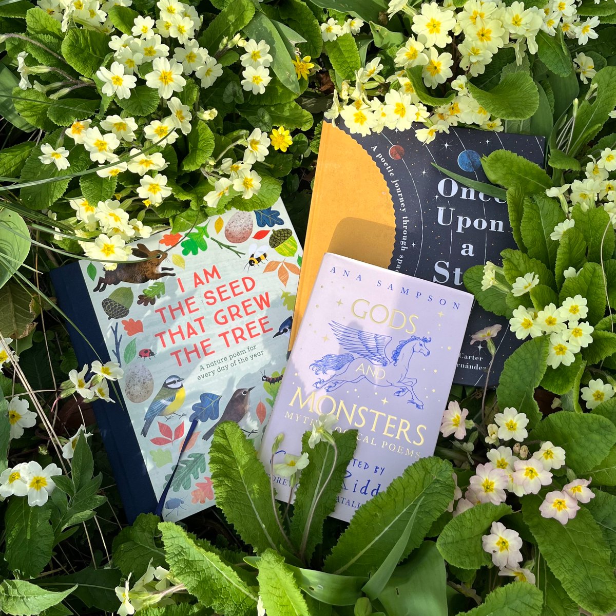🎉 It's #WorldPoetryDay! 🎉

Here's some of our favourite poetry books to enjoy.📖

📚 As part of our Schools Programme, poet James Carter will be visiting 2 local schools in May with his new book WATCH THEM GROW.

To help support our Big Give campaign: guildfordbookfestival.co.uk/arts-for-impac…