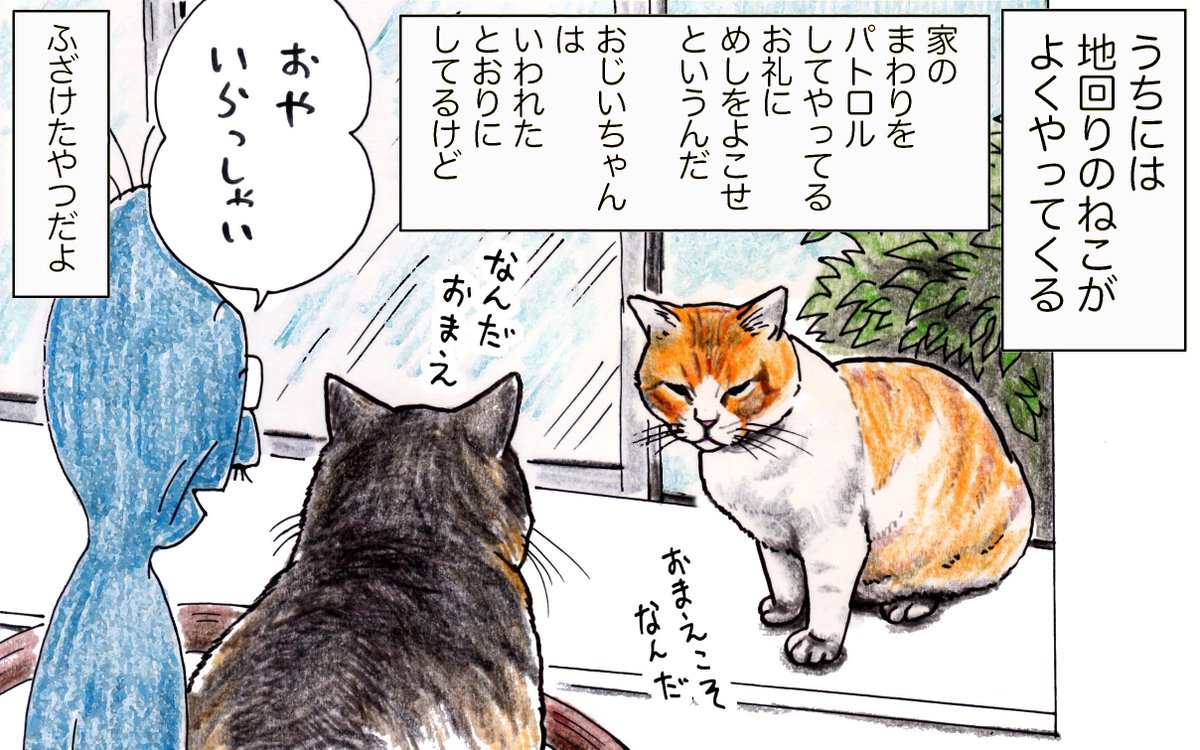 おじいちゃんの家にはズン姐さんが住んでいて、あとは地回り猫のオサムと、ちいき猫にちゃーがメシを食べによくきていたんだよ。
オサムってこんなにきょうぼうだったんだっけそういえば。
今とぜんぜんちがうね。 