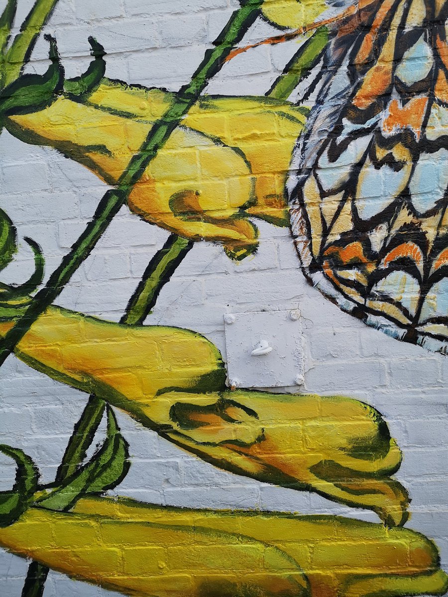 Closeup shots of Canterbury mural for @BCKentBranch a celebration of the rare Heath Fritillary and White-spot Sable, shown with the food plants on which they depend found in nearby Blean woods @savebutterflies #MagnificentMoths