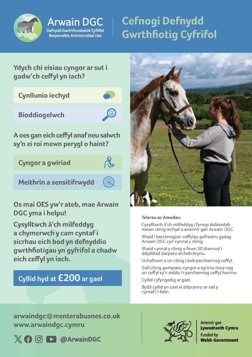 🐎Clinig Iechyd Ceffylau AM DDIM🐎

CYFLE i berchnogion ceffylau yng Nghymru dderbyn cyngor 1 i 1 a sgrinio iechyd gan eu milfeddyg i helpu atal salwch ac osgoi rhoi gwrthfiotigau heb fod angen.

Hyd at £200 o gymorth ar gael. 

Am fwy o wybodaeth ewch at menterabusnes.cymru/arwaindgc/clin…