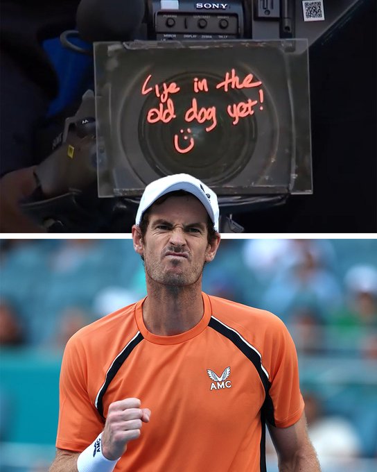 split screen of photos:

At the top is the camera which Andy Murray signed with 'life in the old dog yet!' 

At the bottom is Andy Murray celebrating   