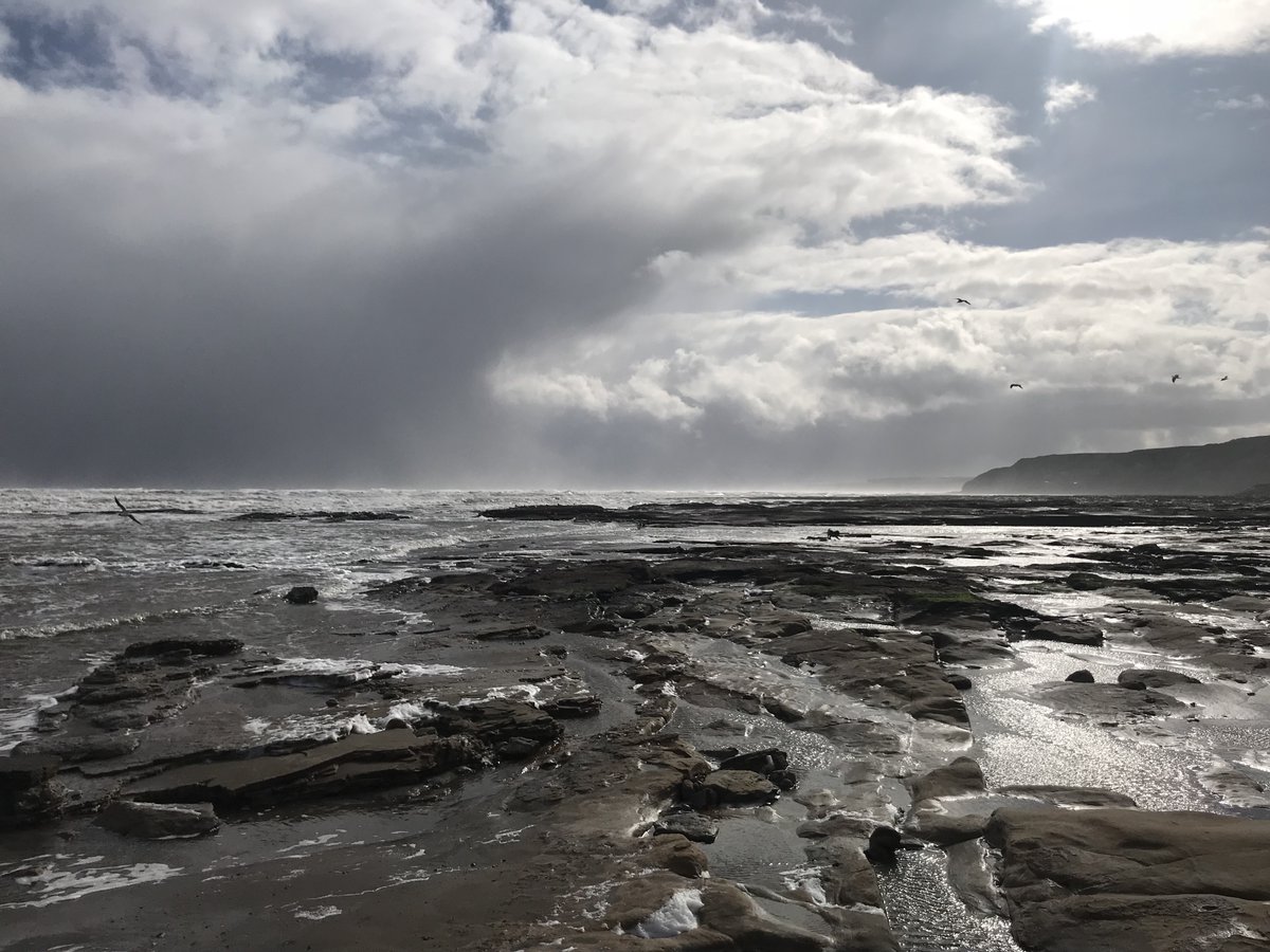 For #WorldPoetryDay, we are pleased to share two incredibly moving poems penned by two talented WAY members Charlotte and Jackie and a third one written by the son of one of our members, Richard, which was read out at his Mum’s memorial service.

widowedandyoung.org.uk/world-poetry-d…