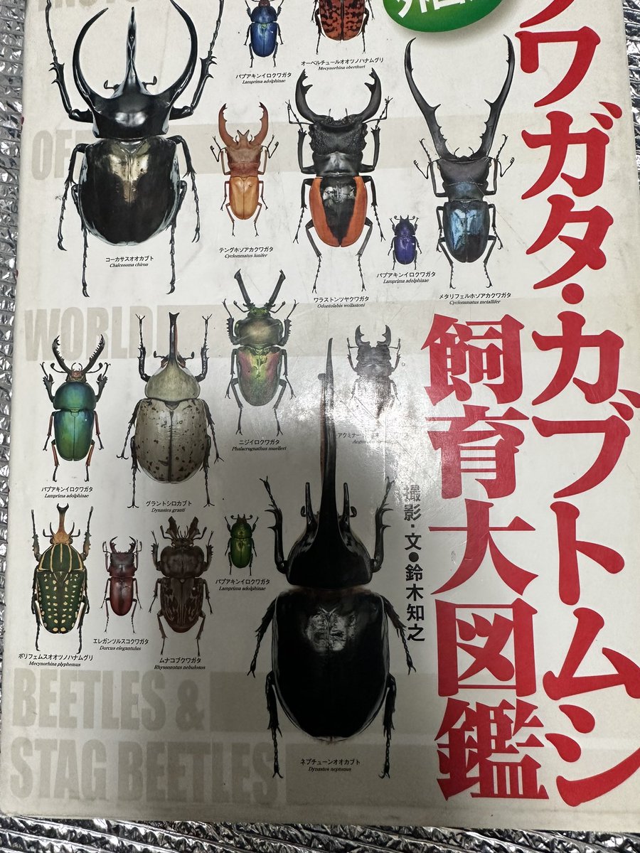 6pei567's tweet photo. 基本はビークワの飼育記事だったりブログ記事を参考にするけど
いまだにこれ読んでたりする https://t.co/fNuWHhQ98i