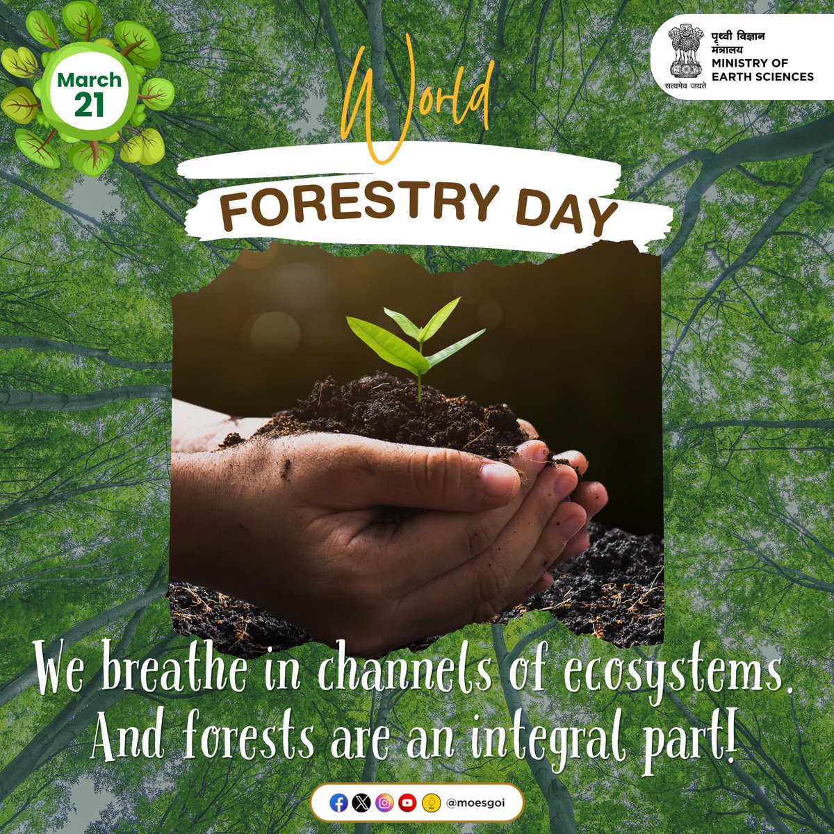 On this #WorldForestryDay, we ought to recognize the value of forests and explore long term sustainable ways to preserve them. Forests are affirmed as the lungs of the world and in order to ensure a bright future, we must preserve them. #InternationalForestryDay