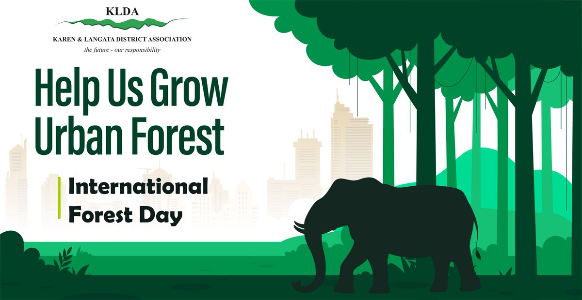 Studies have shown that urban forests provide numerous benefits, including improved air quality, reduced urban heat island effect, stormwater management, carbon sequestration, wildlife habitat, and aesthetic value. To a more serene Karen, let's preserve our trees #WorldForestDay