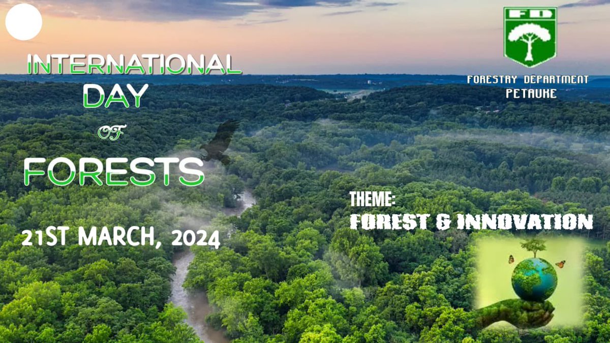 MathiousKapusa's tweet photo. Commemoration international day of forests at Petauke day secondary school 🌳🍃 
Remember to plant a Tree 🌳 
#Environmentalist
#forestandinnovation
@PACJA1 
@nzasap3 
@wwfzambia https://t.co/9KJirYDhgw