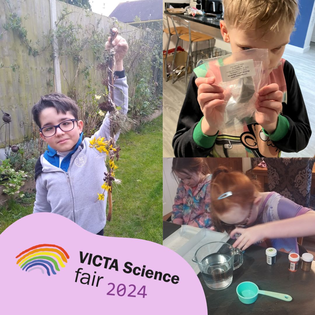 We had so much fun exploring science during #BritishScienceWeek! Well done to everyone who shared their experiments, investigations and journey sticks. You can view our full gallery on the VICTA Science Fair: victa.org.uk/science-explor… #BSW24 #VICTAScienceFair @ScienceWeekUK