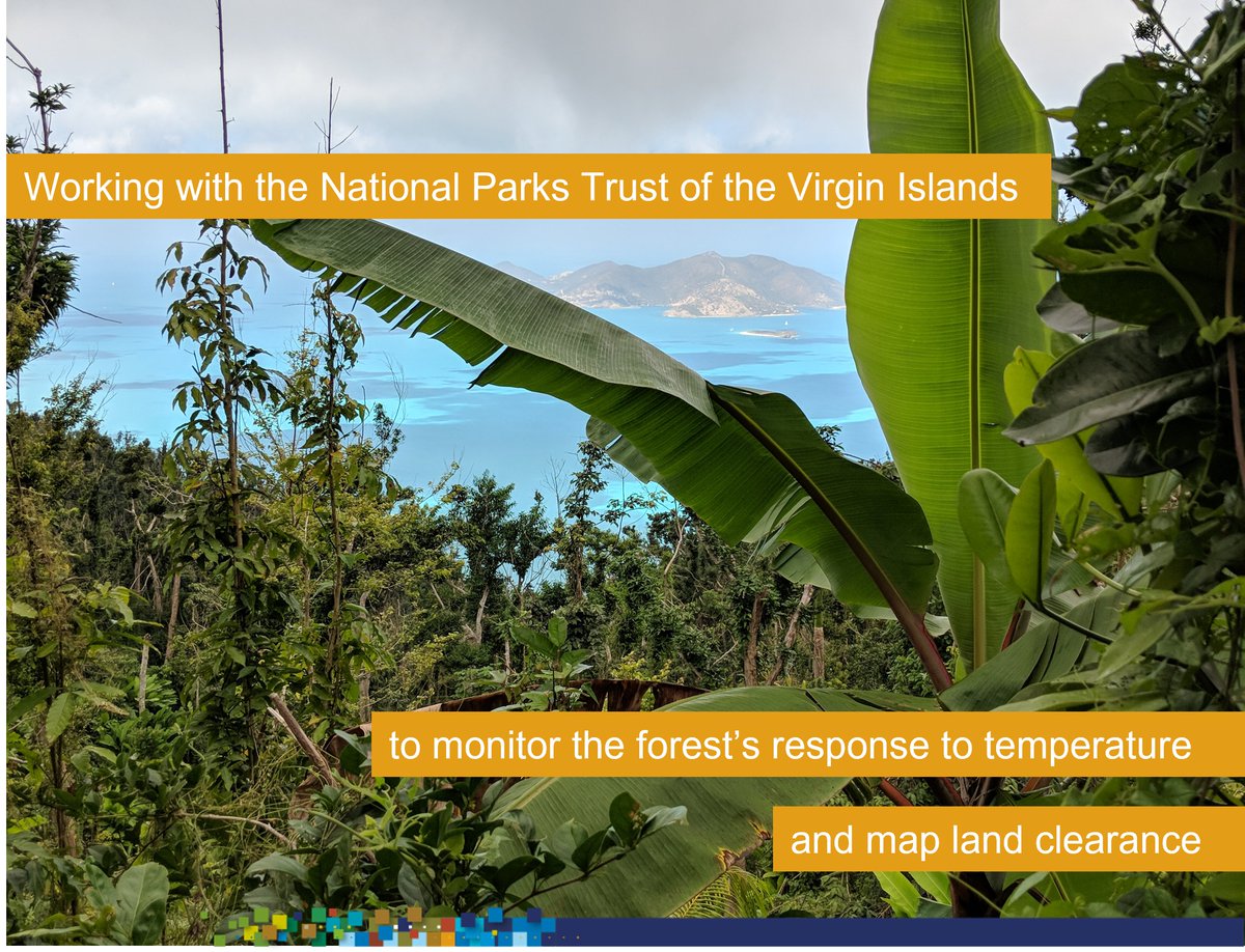 🌳 Happy International Day of Forests! 🌲 
This year, we're all about innovation & tech in forest monitoring. We’re using #EarthObservation to track temperature/drought responses & land clearance in the Virgin Island's dry forests. 🛰️
@UKBCFs
#ForestDay  #DarwinPlus #BVI #UKOT