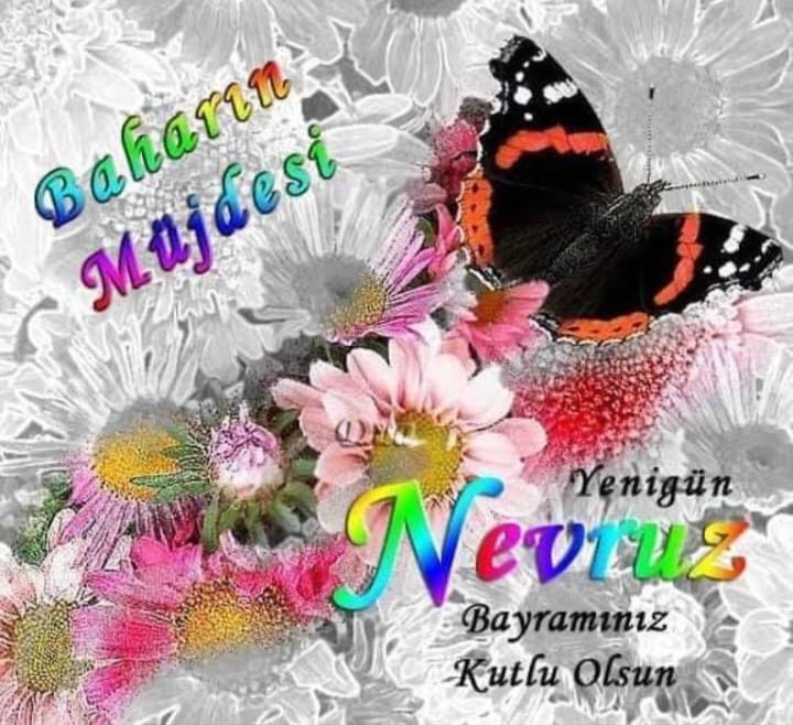 #Nowruz
#BaharBayramı 
#KutluOlsun 
🇹🇷🌸🇹🇷🌸🇹🇷🌸🙏🍃