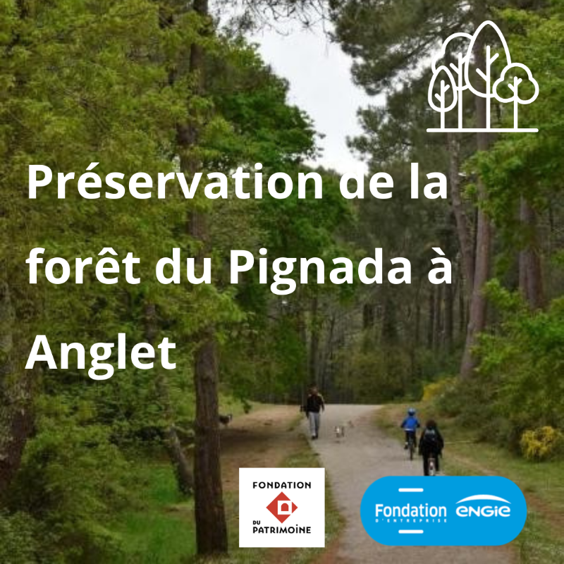 FondationEngie's tweet photo. 🌳Journée Internationale des #forêts
Objectif : Sensibiliser le public à l’importance des forêts et des arbres pour notre écosystème.
Préserver, sensibiliser : découvrez les engagements de la Fondation @ENGIEgroup avec la @fond_patrimoine à Anglet et le #SMAPP dans le @valdoise