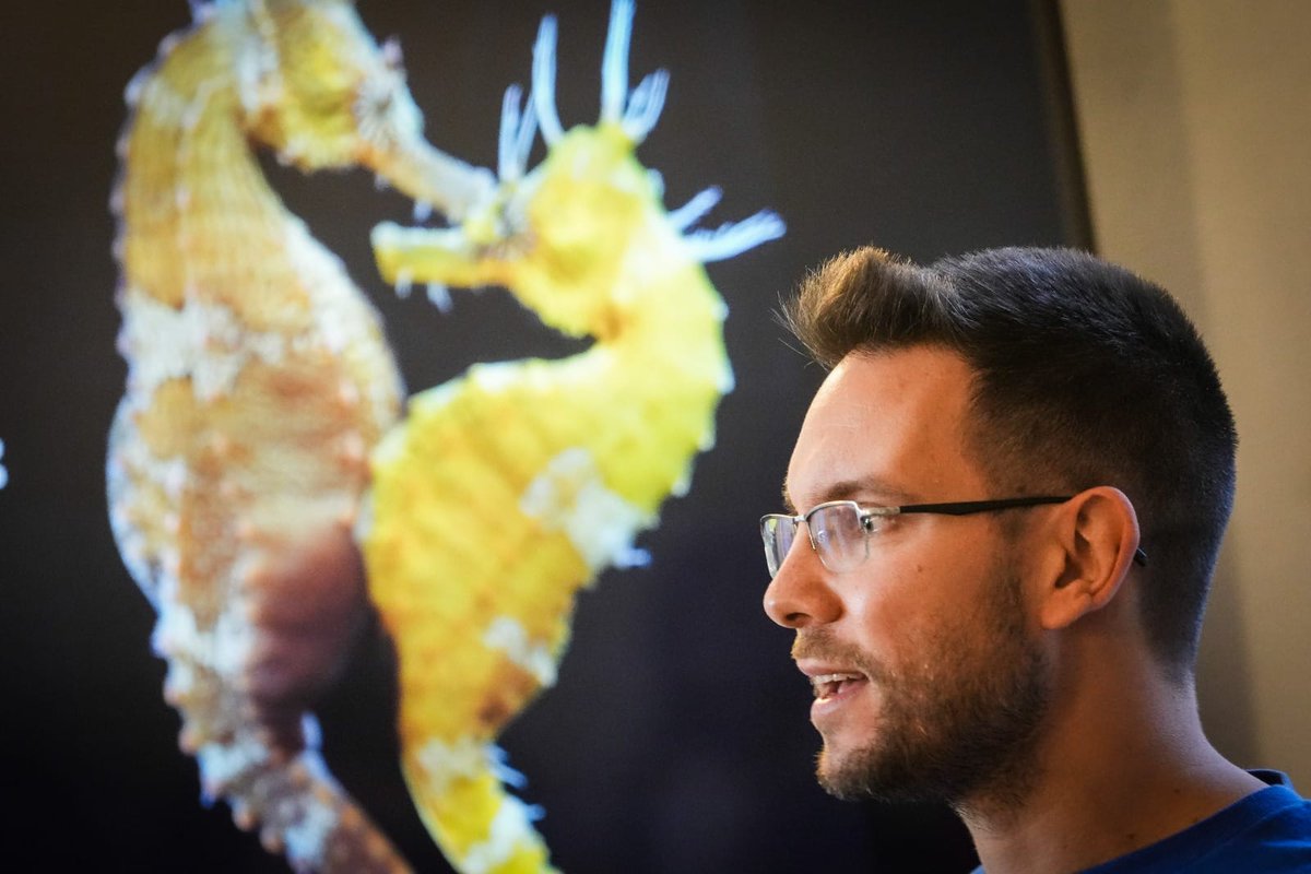 BossoLuciano's tweet photo. Talking about the integration of #citizenscience and #spatialecology to inform the #management and #conservation of the Italian #seahorses throughout an important event of popular science by #PorticiScienceCaffè ❤️

Thanks to @CNRsocial_ @SznDohrn
#seahorse #hippocampus #sea https://t.co/D6BUgK58Ht