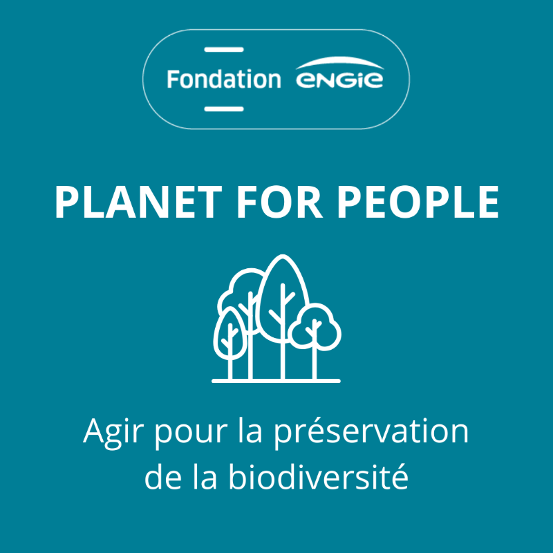 FondationEngie's tweet photo. 🌳Journée Internationale des #forêts
Objectif : Sensibiliser le public à l’importance des forêts et des arbres pour notre écosystème.
Préserver, sensibiliser : découvrez les engagements de la Fondation @ENGIEgroup avec la @fond_patrimoine à Anglet et le #SMAPP dans le @valdoise