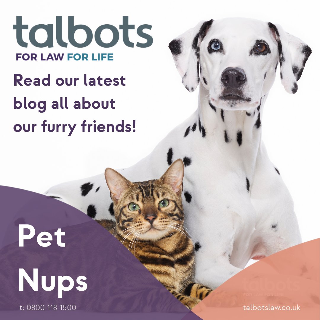 talbotslaw's tweet photo. PET NUPS: We're seeing a rise in the number of couples who are putting a "Pet Nup" in place. 

Pamela Arrowsmith from our Family Law team explains all in her latest blog: 
https://t.co/4cBH7gB9Gt

#pets #petnup #petnups #familylaw https://t.co/kY2Xi8ABBn