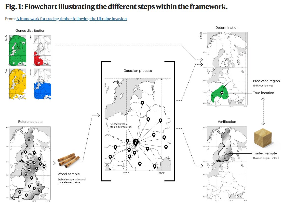 A ban on Russian timber following the Ukraine invasion raises challenges for tracing wood and enforcing sanctions Our @NaturePlants paper with @WorldForestID shares new chemical and machine learning tools to scrutinise Eastern European timber origins🔎🌲 nature.com/articles/s4147…