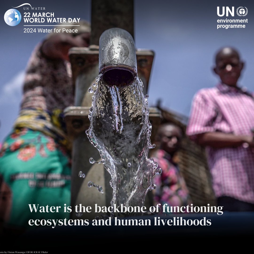 UNEP's tweet image. Tomorrow, we will mark #WorldWaterDay with the theme, “Leveraging water for peace.” With global water shortages rising, we must work together to better manage freshwater resources, and share them equitably. Check out how UNEP addresses #WaterAction: unep.org/topics/fresh-w…
