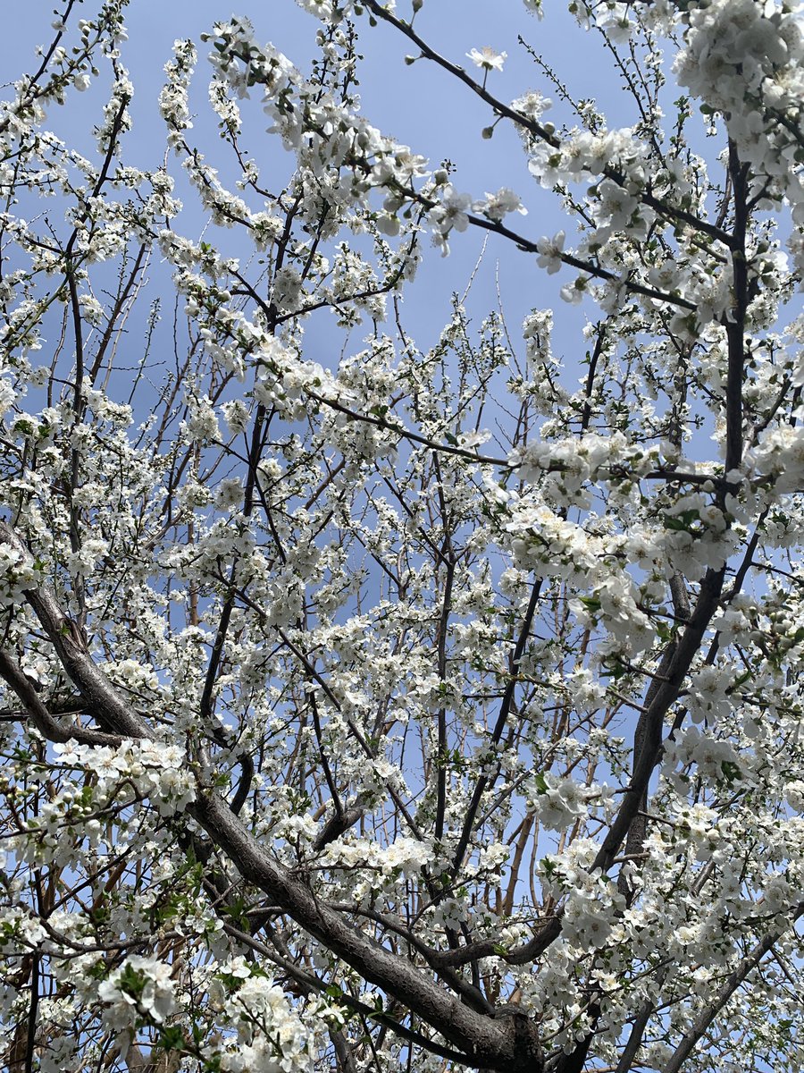 instagram.com/reel/C4w79nzId…