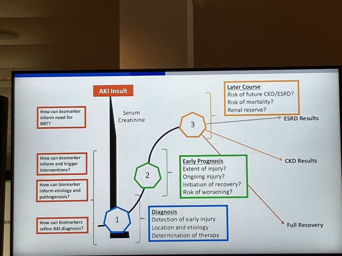 Heterogeneity of AKI Can biomarkers guide phenotyping? #ISICEM24 @ISICEM