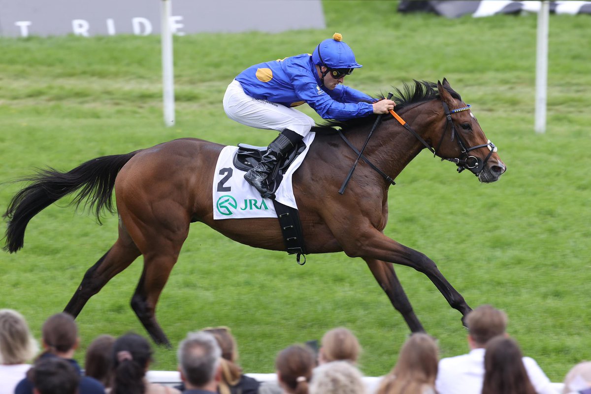 FANTASTIC MOON (Sea The Moon) is 🇩🇪 horse of the year 2023‼️ Congrats to Liberty Racing, René Piechulek, Sarah Steinberg and Graf&Gräfin von Stauffenberg👏🏼 His sire SEA THE MOON (Sea The Stars) won the award back in 2014