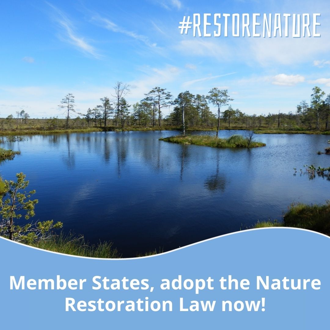 The #NatureRestorationLaw deal was made after long negotiations between the EU institutions. We count on the 🇧🇪 Presidency @EU2024BE to act as an honest broker & to bring the law over the finish line. Nature, climate, economy, and citizens cannot wait. #RestoreNature now! 🌳