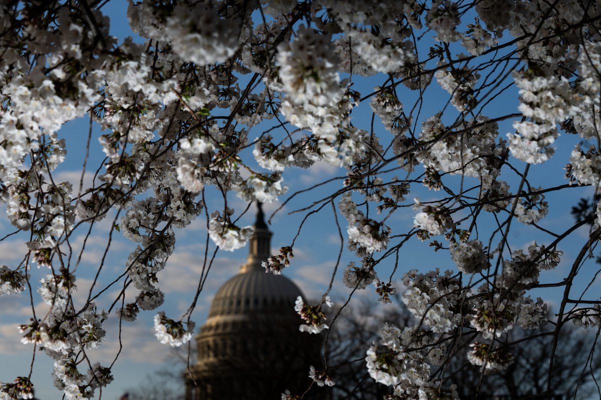 Final spending package unveiled, countdown to recess begins ow.ly/a7RK50QYuy7