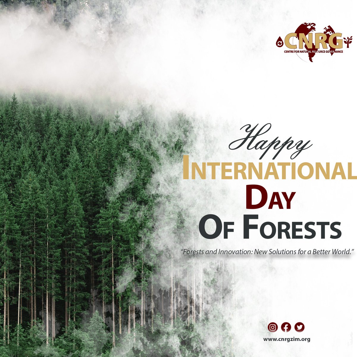 𝐇𝐚𝐩𝐩𝐲 𝐈𝐧𝐭𝐞𝐫𝐧𝐚𝐭𝐢𝐨𝐧𝐚𝐥 𝐃𝐚𝐲 𝐨𝐟 𝐅𝐨𝐫𝐞𝐬𝐭𝐬 🌿 Today, we celebrate the beauty and biodiversity of forests worldwide. @CNRG_ZIM we strive to promote transparency, accountability, and community participation in decision-making processes. Join us in protecting